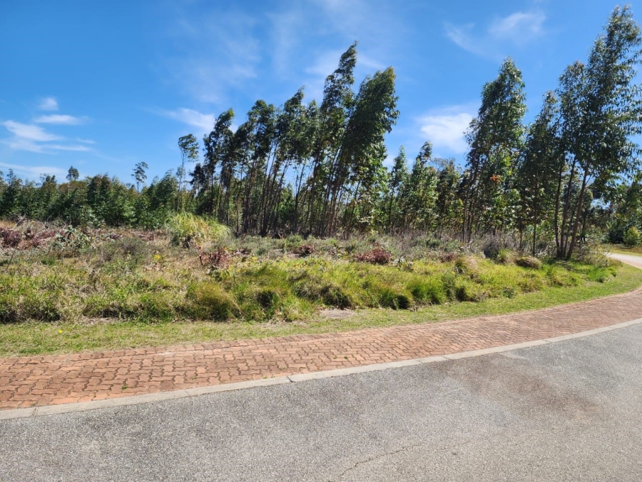 Commercial Property for Sale in Wedgewood Golf Estate Eastern Cape
